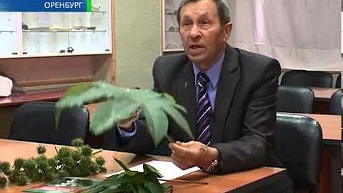 Страшно красивое растение 8 10 13