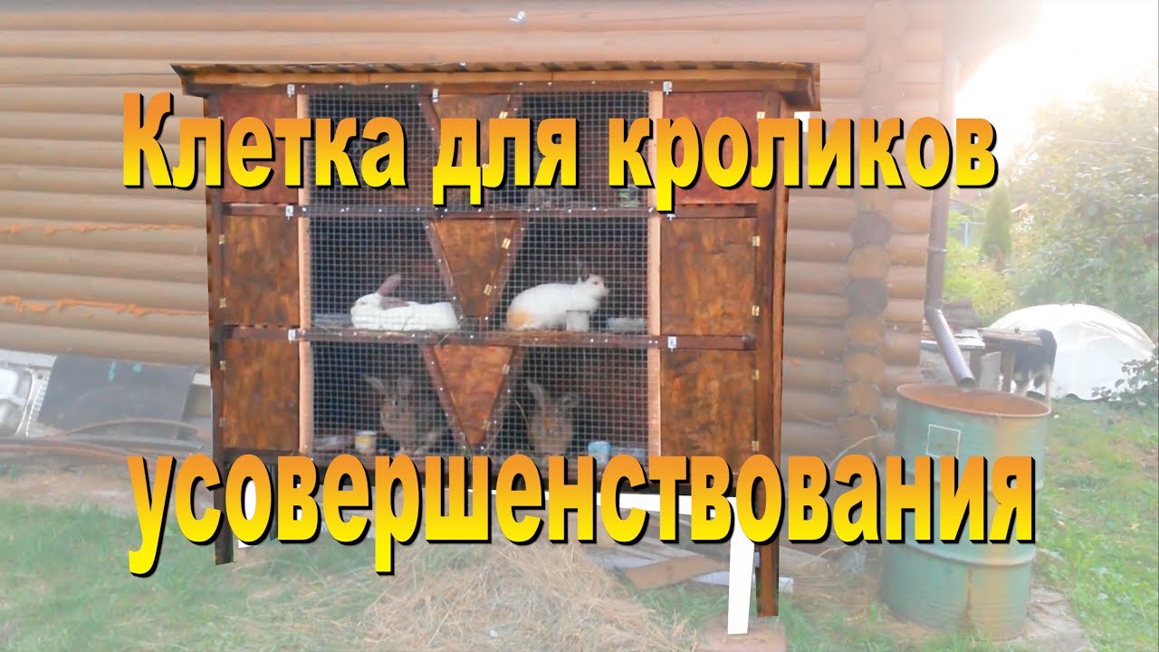 Постройка дома для кролика