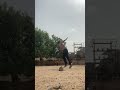 Cricket with friend #cricket #viralvideo # shorts 