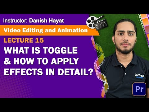 Lecture 15: What is Toggle & How to Apply Effects in detail?