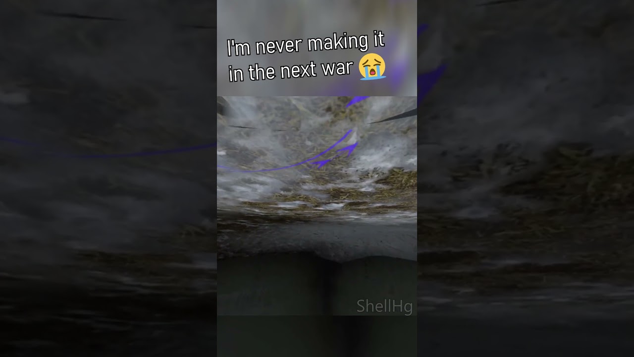 I'm Never Making it in the Next One LOL | Shell Clips