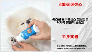 강아지에센스 추천