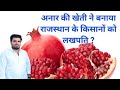अनार में बैक्टीरियल ब्लाइट का दुष्प्रभाव खेत साफ किसान को भारी नुकसान