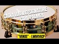 Caixa ludwig signature carl palmer  review e soundcheck  por jorge cury neto