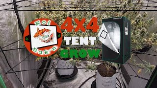 4X4 Tent | Season 2 Ep 14 | Harvest