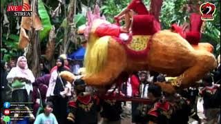 JANGJI KAMARI (PENCUG) RKJ.IMAS KOBRA GROUP Lokasi: Kp Gandasari Desa  Cigelam 26 October 2025