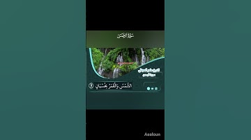تلاوه خاشعه لسوره الرحمن بصوت الشيخ ماهر المعيقلي