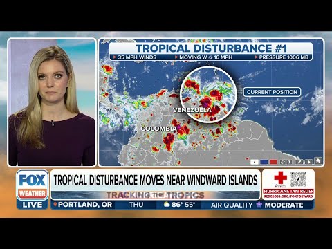 Tropical Disturbance Being