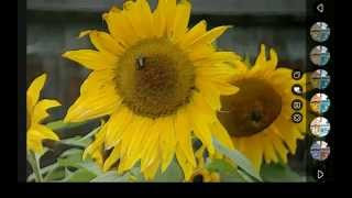 Arto: oil painting photo effect screenshot 5