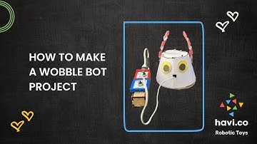 How to make a wobble bot made using Havi