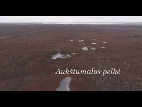 Aukštumalos pelkė