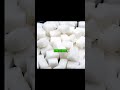 Where does sugar ACTUALLY come from? #science #physics #technology #knowledge #interesting