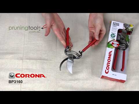 Corona BP3160