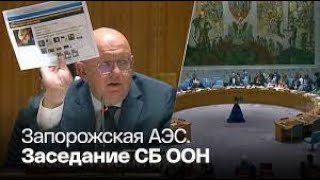 Заседание СОВБЕЗА ООН по ситуации на ЗАЭС 23.08.2022. Будет ли МАГАТЭ на станции?