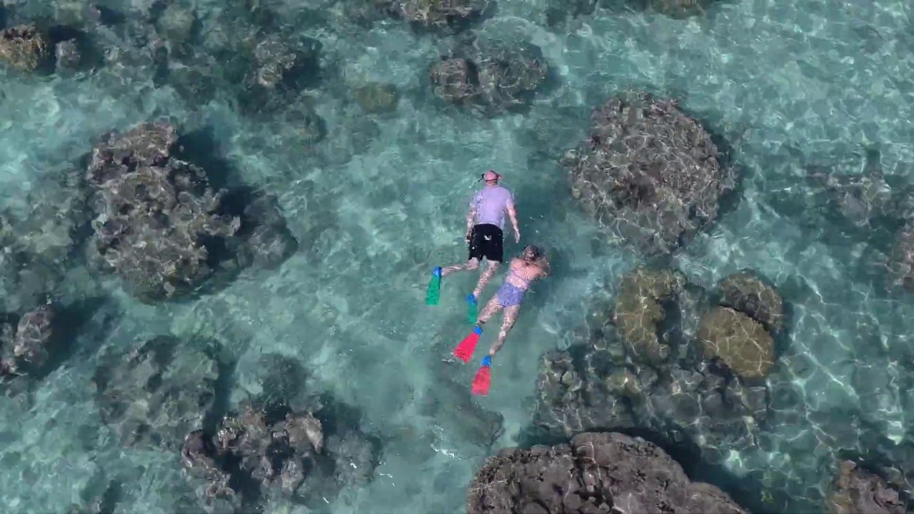 Snorkel In Rarotonga YouTube