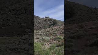 Inyo National Forest, CA #nature #naturelovers #natural #views #view #hiking #mountains #outdoors