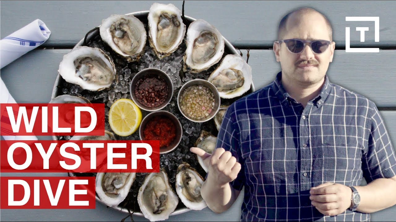 Long Island Has NY's Freshest Oysters || Food/Groups - YouTube