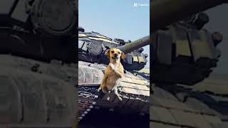 Tank T-72