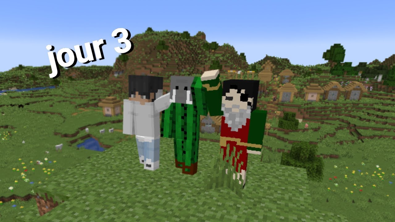 survie Minecraft jour 3 | rediff du 23/11/2025 parti 2 (live twitch)