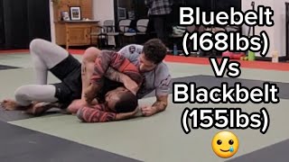 Bluebelt (168lbs) Gets Murdered By Blackbelt (155lbs) 😭 #blackbelt #bluebelt #bjj