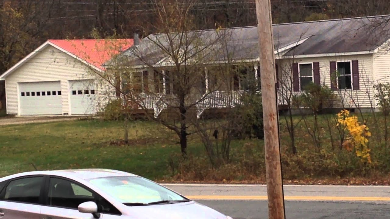 Pileated Woodpecker call - YouTube