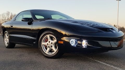 2002 Firebird LED Fog Light/Turn Signal (HALO RING) Install How-To  (CHEAP & EASY)