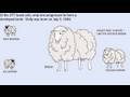 Cloning Breakthroughs and Biological Insights