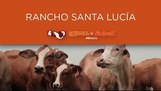 51 Rancho Santa Lucía