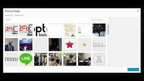 Essential Grid Alternative Image Lightbox
