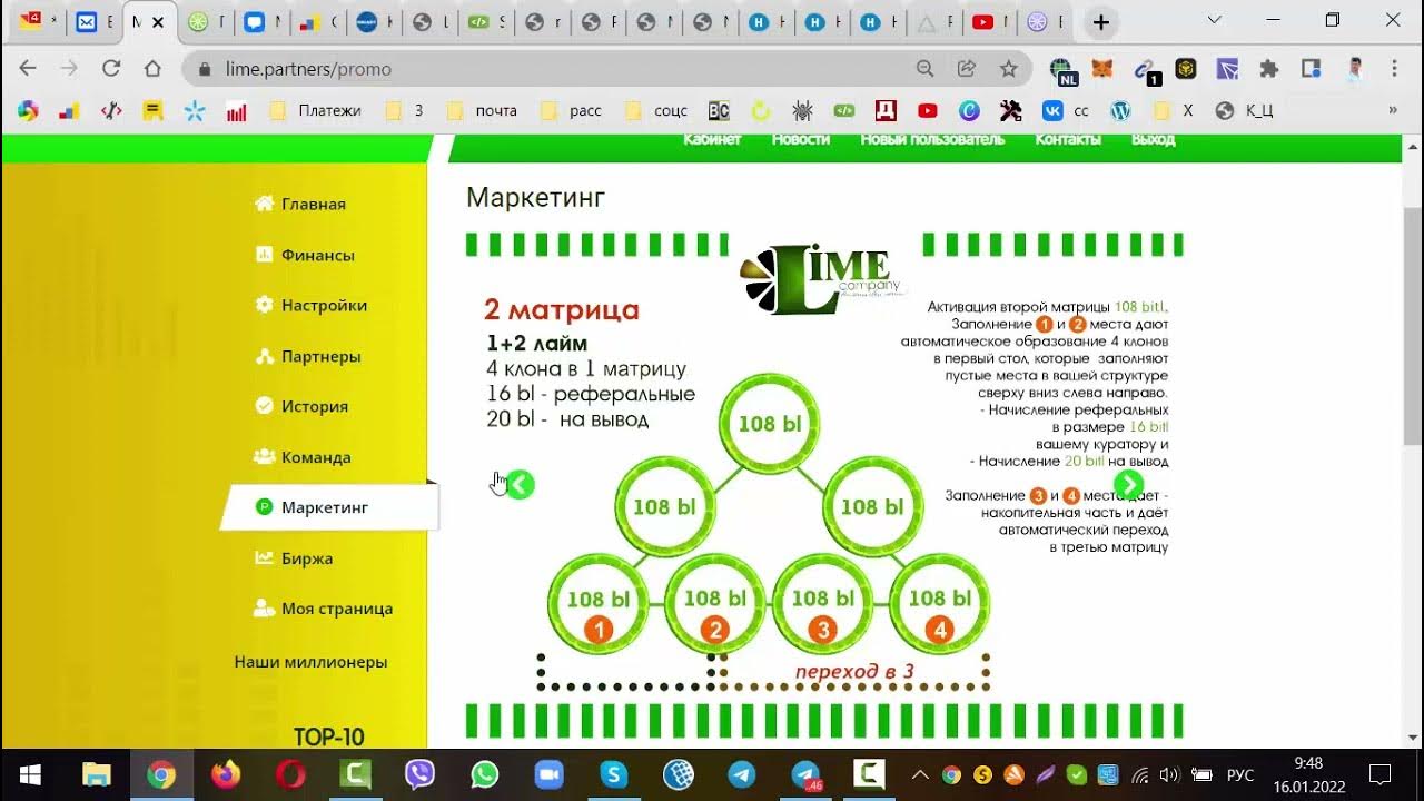 Lime academy отзывы. Лайм академия. Lime academy отзывы. Калейдоскоп лайм академия. Lime academy информация картинки с надписями.