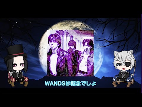 WANDSという概念