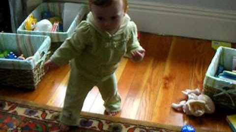 CSH - 011909 Bipedal Locomotion (sort of)