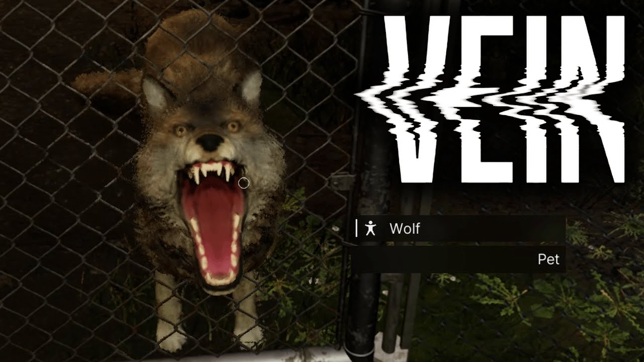 DON'T PET THE WOLVES IN VEIN!
