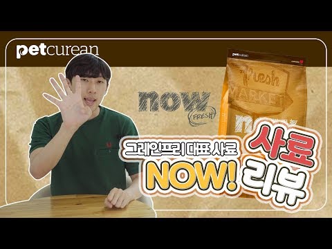 [개스맨] 그레인프리 대표 사료 NOW 사료 리뷰!ㅣ반해