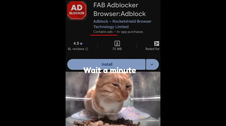 ADblocker need another ad blocker
