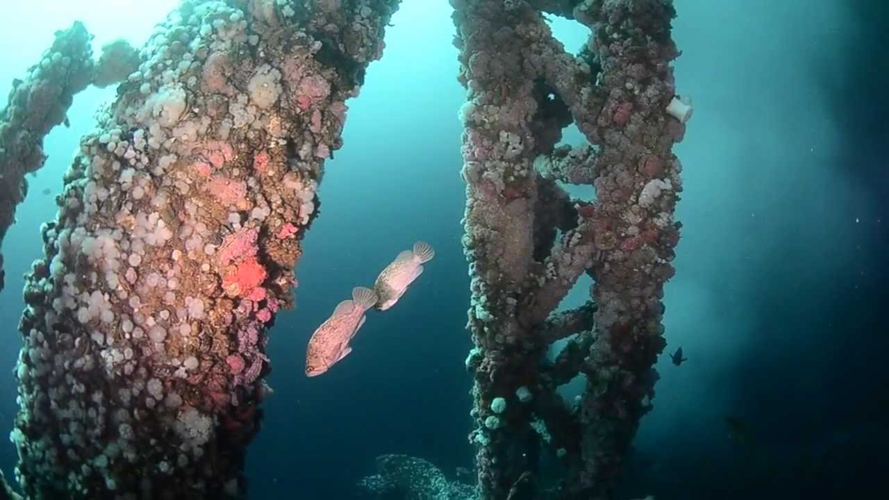 Подводная видеосъёмка с объективом Tokina 10-17mm