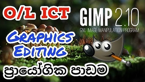ICT Grade 11 GIMP Software Practical Lesson | GIMP ICT O/L Grade 11 | Grade 11 ICT