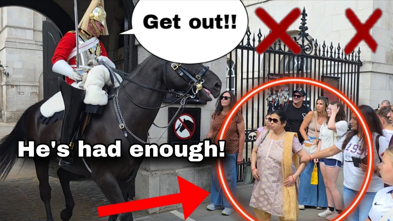FED UP King's Guard charges with his horse at disrespectful tourist!