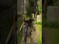The Last Of Us 2   Video 98