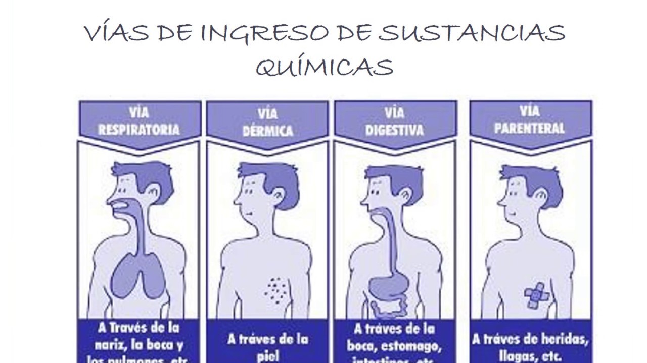CONCEPTOS FUNDAMENTALES DEL RIESGO QUIMICO - YouTube