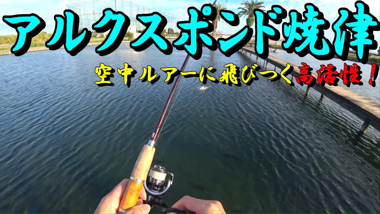 【エリアトラウト】アルクスポンド焼津 空中のルアーをジャンプして襲う！