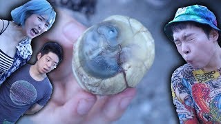 Balut mukbang ( A developing duck embryo) (Street food in Philippines)