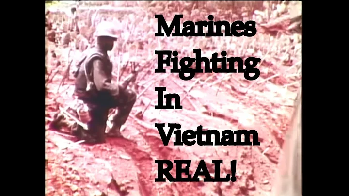Watch This To See What Marines Saw Fighting In Vietnam - DayDayNews