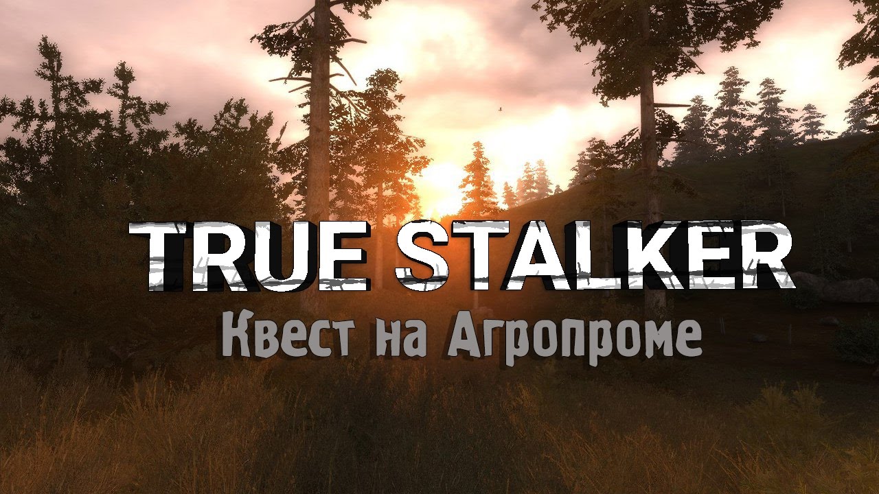 В поисках кода true. True Stalker. Сталкер тру сталкер. Агропром true Stalker. Тру сталкер мод.