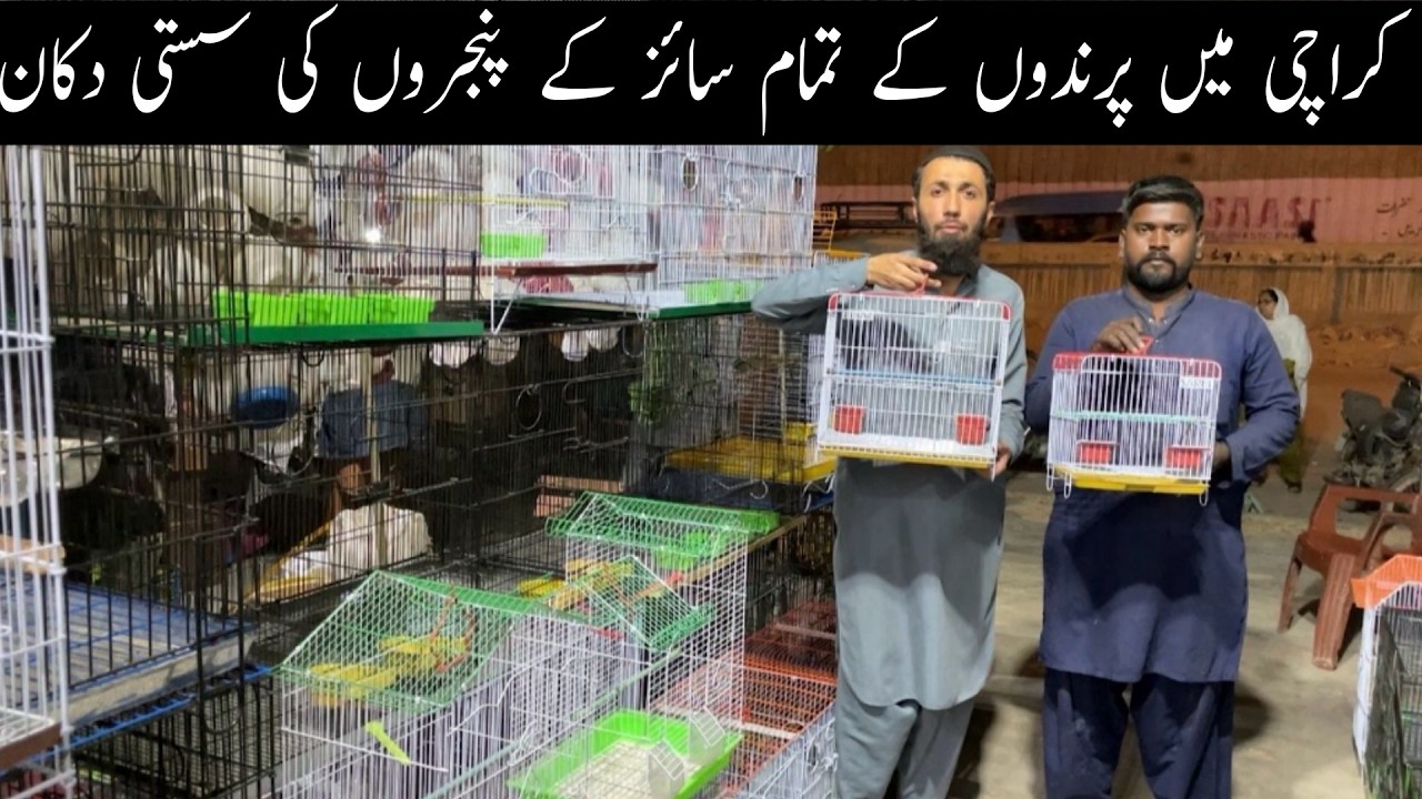 New Birds Cages Shop Visit in Lalukhet Birds Market All Varities Folding Cages Shop 😯😃