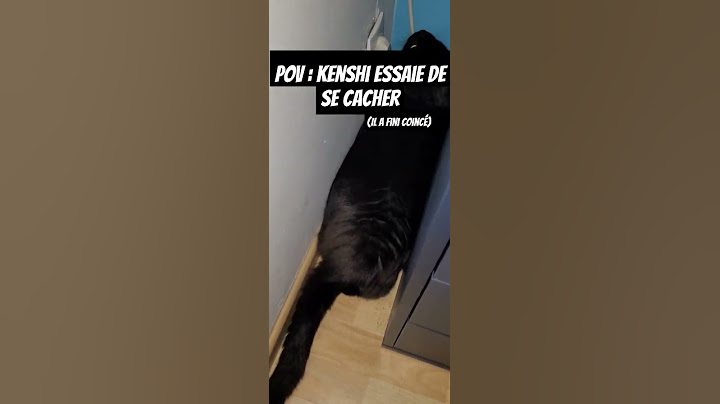La cachette ultime 🤣 #chat #cat #kenshi #animaux #cute #humour #animals #catlover #funny #drole