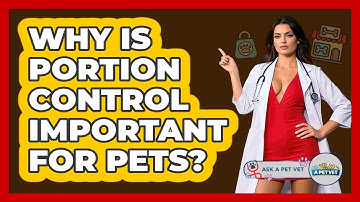 Why Is Portion Control Important For Pets? - Ask A Pet Vet