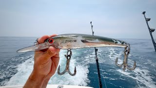 I Wish Offshore Fishing Was Always This Easy...