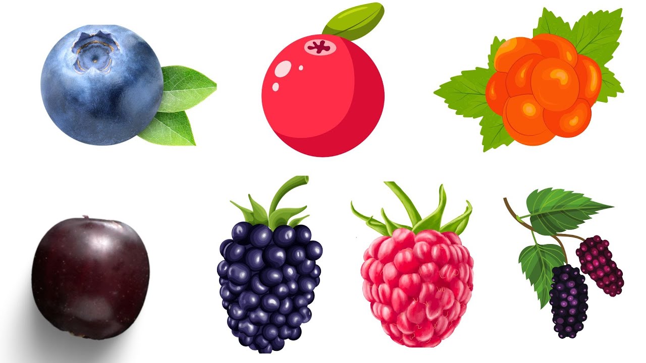 Berry Rhymes for Kids | Learn Berries with Fun Spelling & Health Facts ...