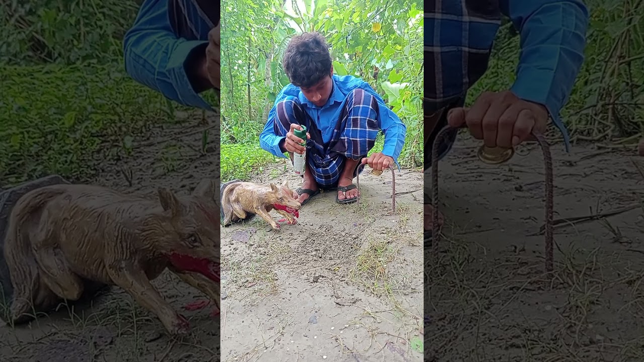 Killing mice with room spray 